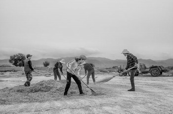 ying乱大巴车全部章节阅读