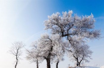 两个珠子的绳子怎么打结