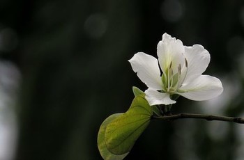 乞丐在她身上努力耕耘小说