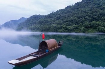 回复术士的重来人生动漫樱花