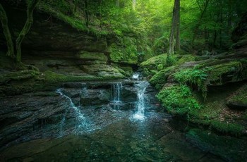 天津电视台6频道在线