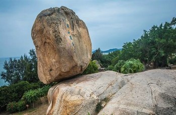 小说女总裁的神豪女婿