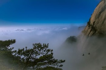 怪盗基德出场集数